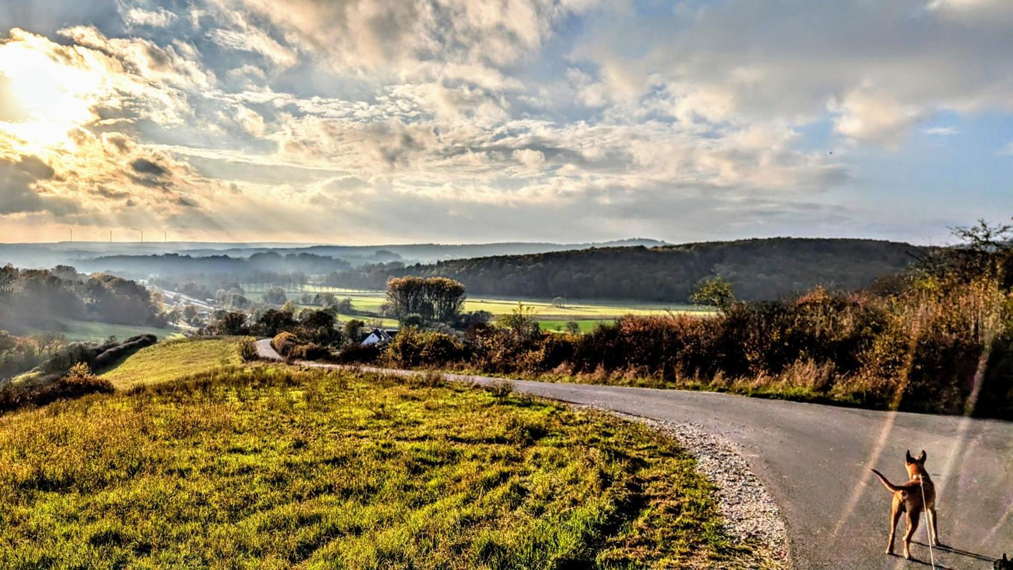 Hotel Panorama Niederfüllbach Exteriér fotografie